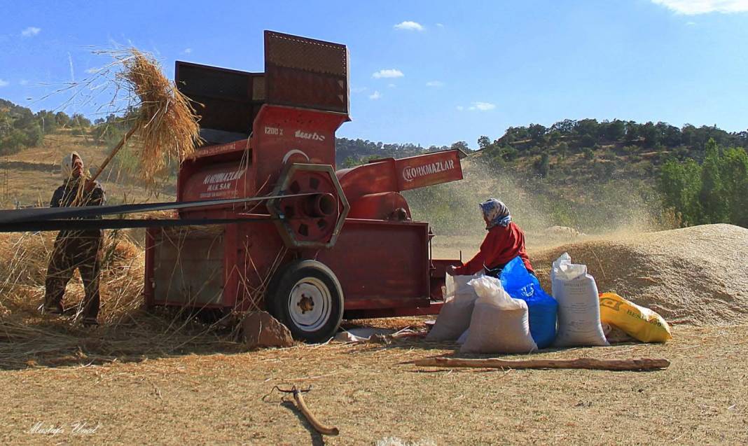 Konya’da kuraklığın içine çizilmiş harman portresi 6